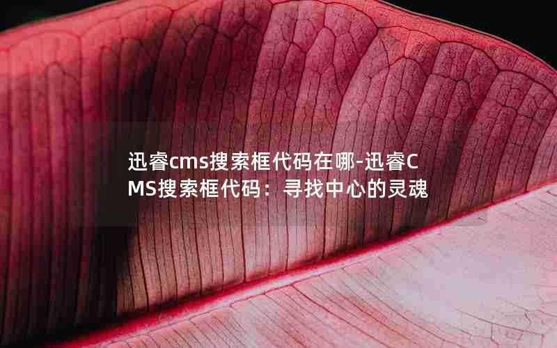 迅睿cms搜索框代码在哪-迅睿CMS搜索框代码:寻找中心的灵魂