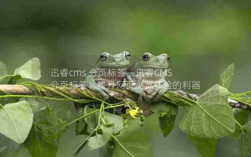 迅睿cms分页标签—迅睿CMS分页标签:提升网页浏览体验的利器