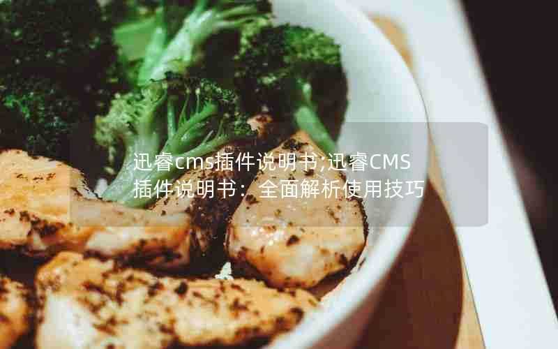 迅睿cms插件说明书;迅睿CMS插件说明书:全面解析使用技巧