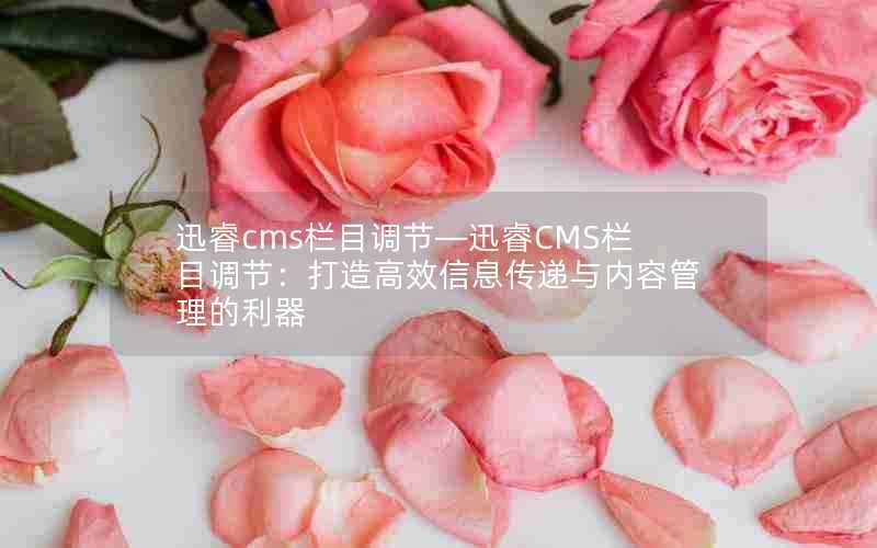 迅睿cms栏目调节—迅睿CMS栏目调节:打造高效信息传递与内容管理的利器