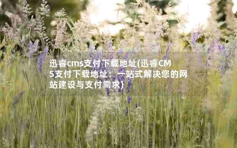 迅睿cms支付下载地址(迅睿CMS支付下载地址:一站式解决您的网站建设与支付需求)