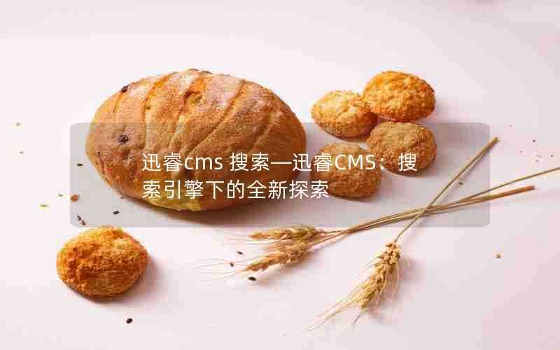 迅睿cms搜索—迅睿CMS:搜索引擎下的全新探索