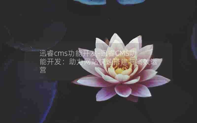 迅睿cms功能开发-迅睿CMS功能开发:助力网站快速搭建与高效运营