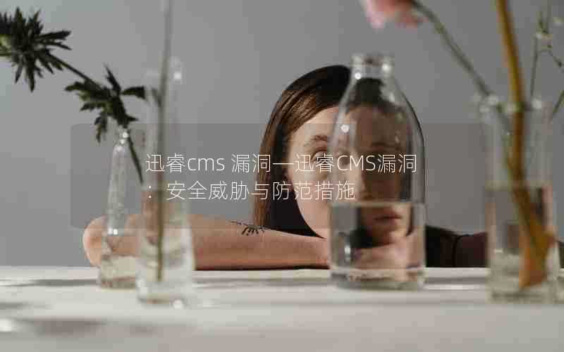迅睿cms漏洞—迅睿CMS漏洞:安全威胁与防范措施