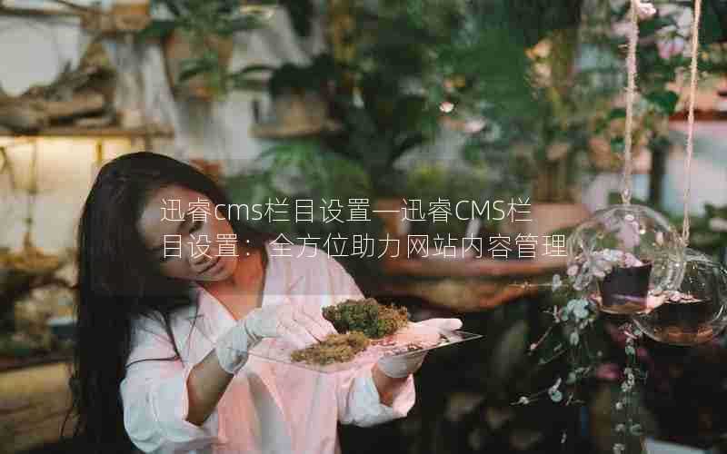 迅睿cms栏目设置—迅睿CMS栏目设置:全方位助力网站内容管理