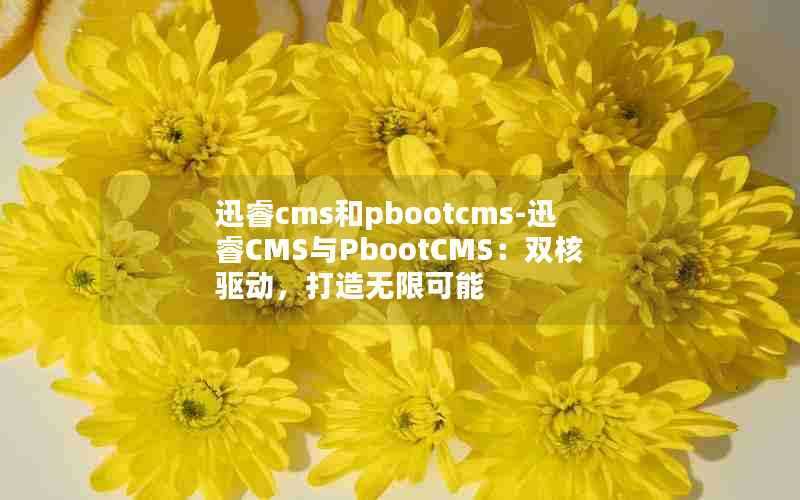 迅睿cms和pbootcms-迅睿CMS与PbootCMS:双核驱动,打造无限可能