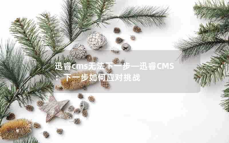 迅睿cms无法下一步—迅睿CMS:下一步如何应对挑战
