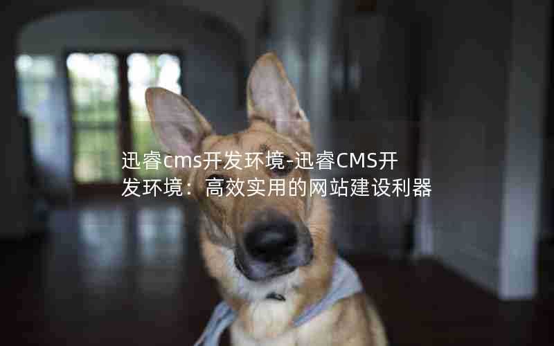 迅睿cms开发环境-迅睿CMS开发环境:高效实用的网站建设利器