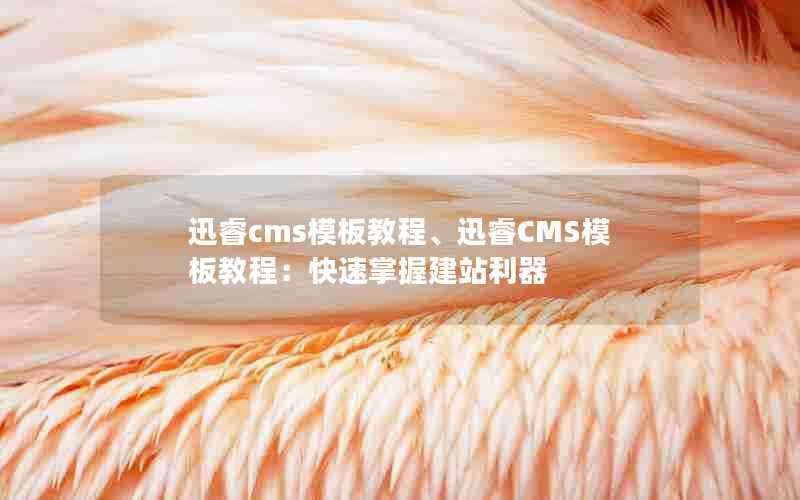 迅睿cms模板教程、迅睿CMS模板教程:快速掌握建站利器