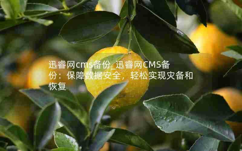 迅睿网cms备份_迅睿网CMS备份:保障数据安全,轻松实现灾备和恢复