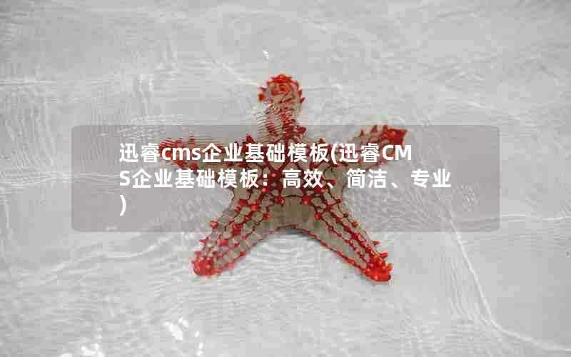 迅睿cms企业基础模板(迅睿CMS企业基础模板:高效、简洁、专业)