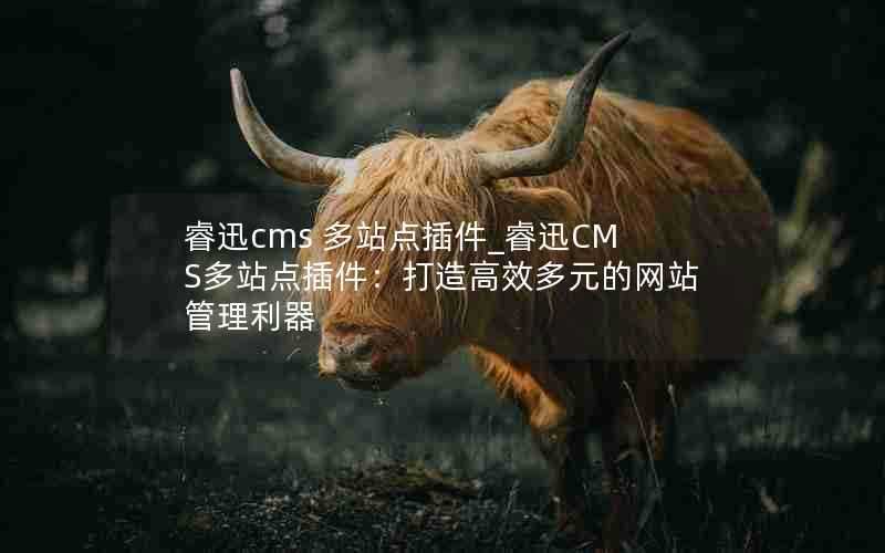 睿迅cms多站点插件_睿迅CMS多站点插件:打造高效多元的网站管理利器