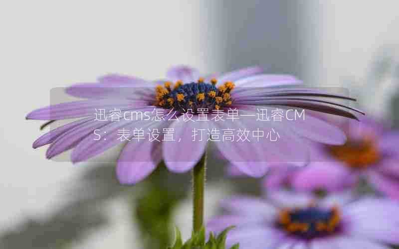 迅睿cms怎么设置表单—迅睿CMS:表单设置,打造高效中心