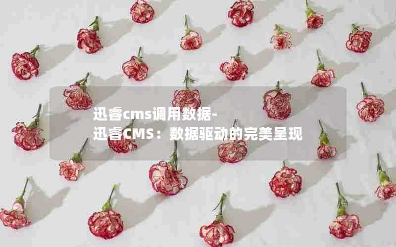 迅睿cms调用数据-迅睿CMS:数据驱动的完美呈现