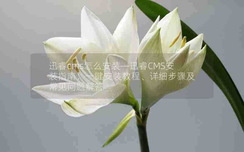 迅睿cms怎么安装—迅睿CMS安装指南:一键安装教程、详细步骤及常见问题解答