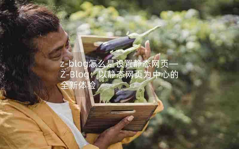 z-blog怎么是设置静态网页—Z-Blog:以静态网页为中心的全新体验