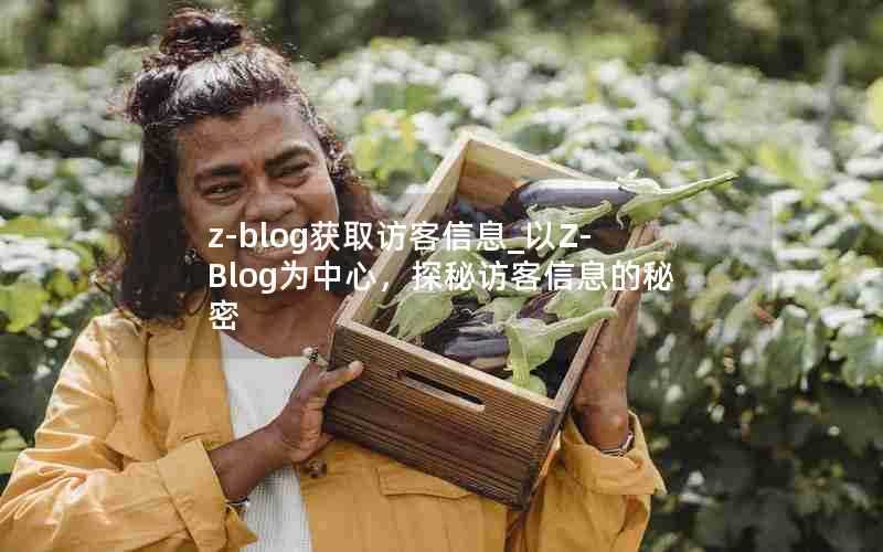 z-blog获取访客信息_以Z-Blog为中心,探秘访客信息的秘密