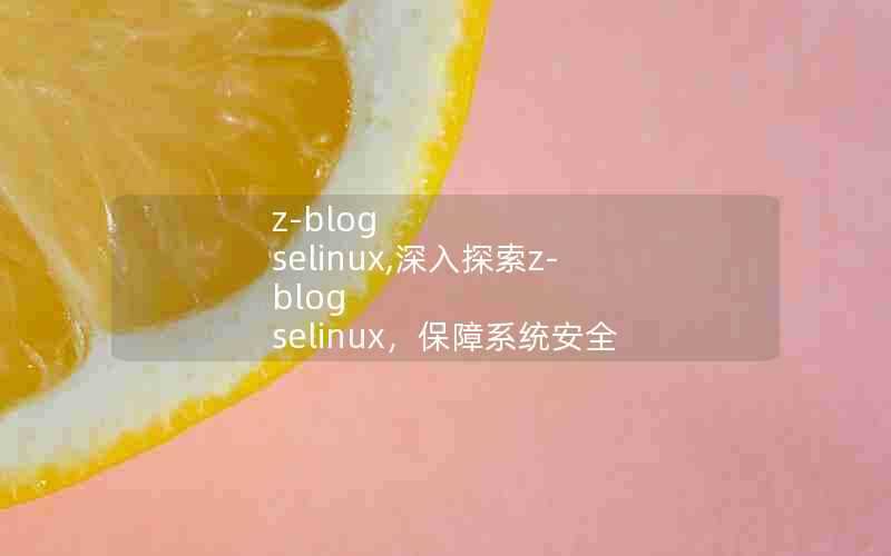 z-blogselinux,深入探索z-blogselinux,保障系统安全