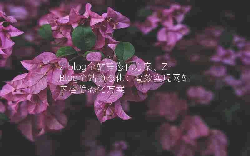 z-blog全站静态化方案、Z-Blog全站静态化:高效实现网站内容静态化方案