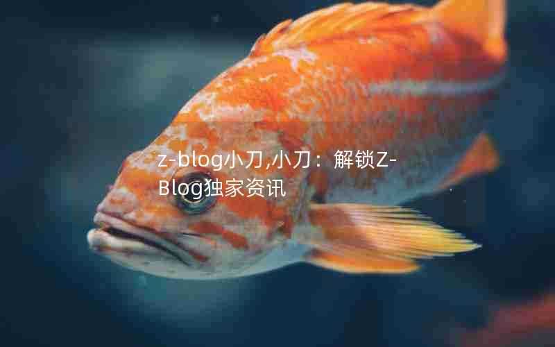 z-blog小刀,小刀:解锁Z-Blog独家资讯
