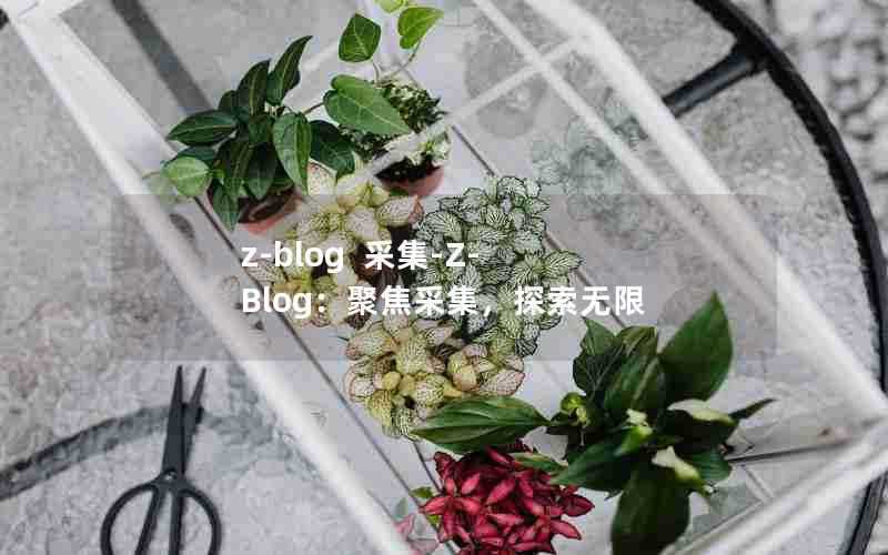 z-blog采集-Z-Blog:聚焦采集,探索无限