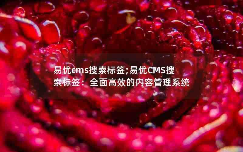 易优cms搜索标签;易优CMS搜索标签:全面高效的内容管理系统