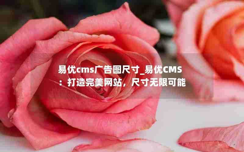 易优cms广告图尺寸_易优CMS:打造完美网站,尺寸无限可能