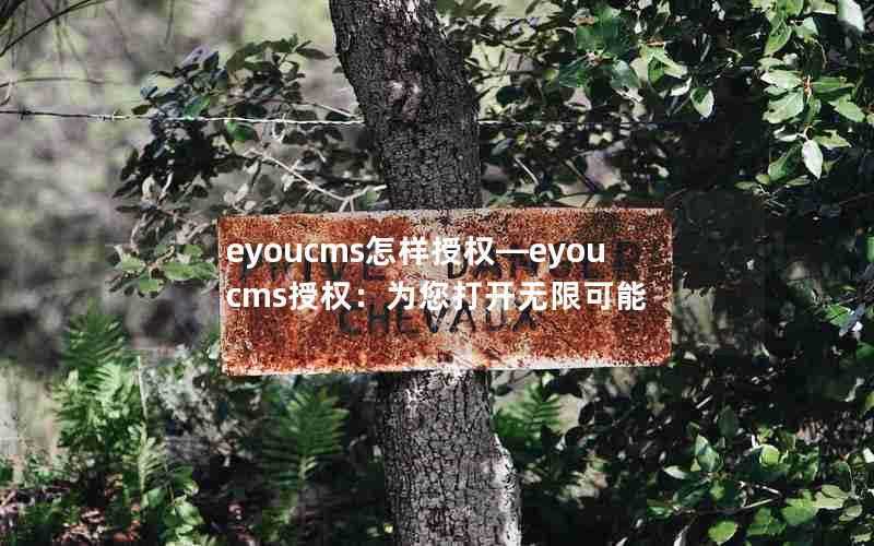 eyoucms怎样授权—eyoucms授权:为您打开无限可能