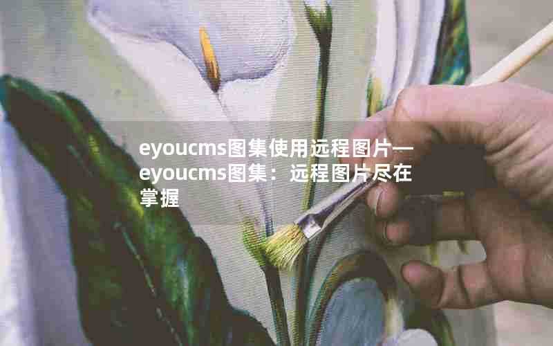 eyoucms图集使用远程图片—eyoucms图集:远程图片尽在掌握