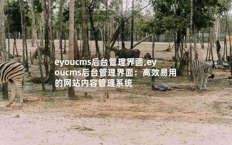 eyoucms后台管理界面,eyoucms后台管理界面:高效易用的网站内容管理系统