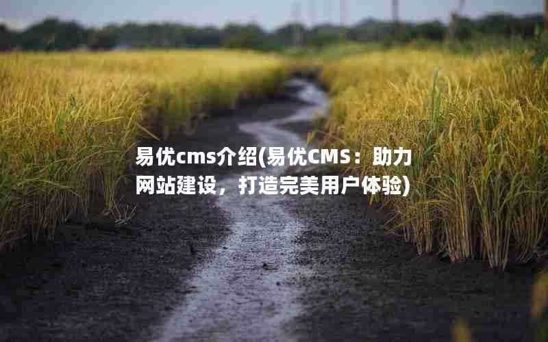 易优cms介绍(易优CMS:助力网站建设,打造完美用户体验)