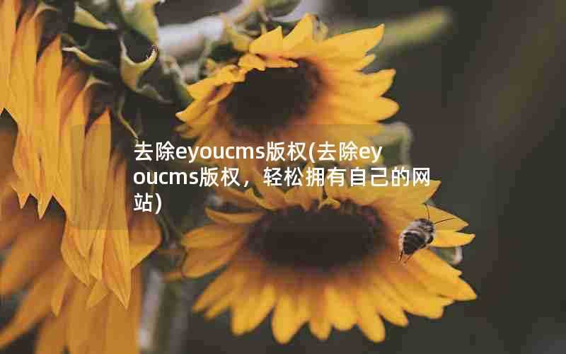 去除eyoucms版权(去除eyoucms版权,轻松拥有自己的网站)
