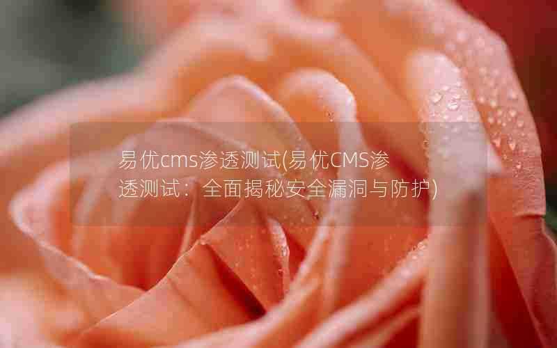 易优cms渗透测试(易优CMS渗透测试:全面揭秘安全漏洞与防护)