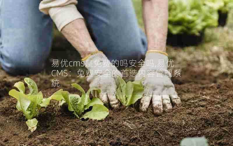 易优cms是免费的吗安全吗,易优CMS:免费安全的首选内容管理系统