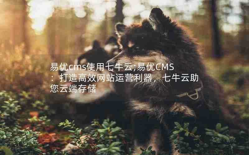易优cms使用七牛云;易优CMS:打造高效网站运营利器,七牛云助您云端存储
