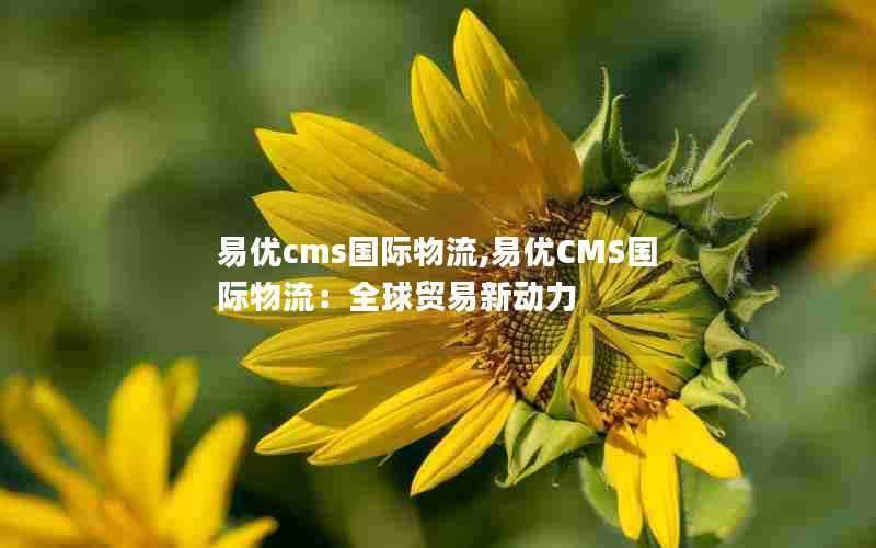 易优cms国际物流,易优CMS国际物流:全球贸易新动力