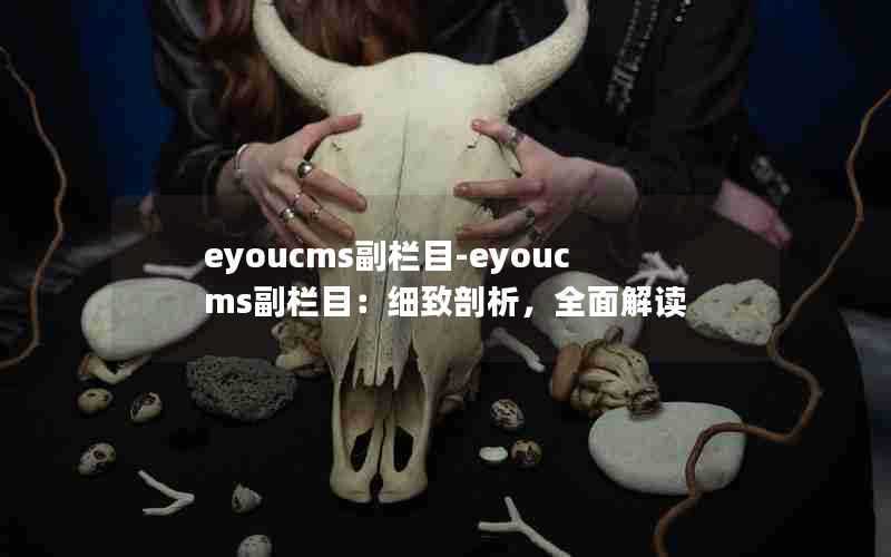 eyoucms副栏目-eyoucms副栏目:细致剖析,全面解读