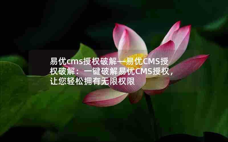 易优cms授权破解—易优CMS授权破解:一键破解易优CMS授权,让您轻松拥有无限权限