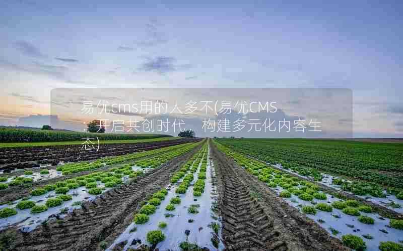 易优cms用的人多不(易优CMS:开启共创时代,构建多元化内容生态)