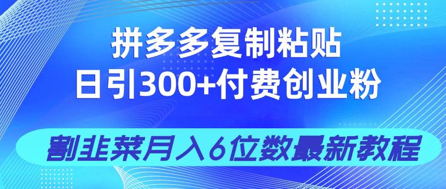 拼多多复制粘贴日引300+付费创业粉，割韭菜月入6位数最新教程！