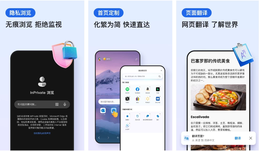 微软 Edge浏览器 v133.0.3065.67 谷歌版