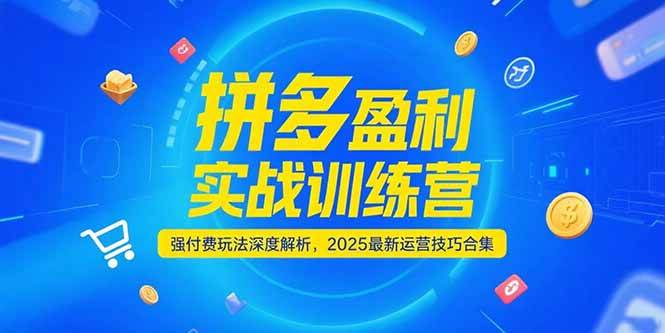 拼多多盈利实战训练营，强付费玩法深度解析，2025最新运营技巧合集