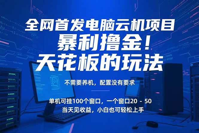电脑云机项目 暴力撸金玩法，不需要养机 配置没有要求 单机100个窗口一…