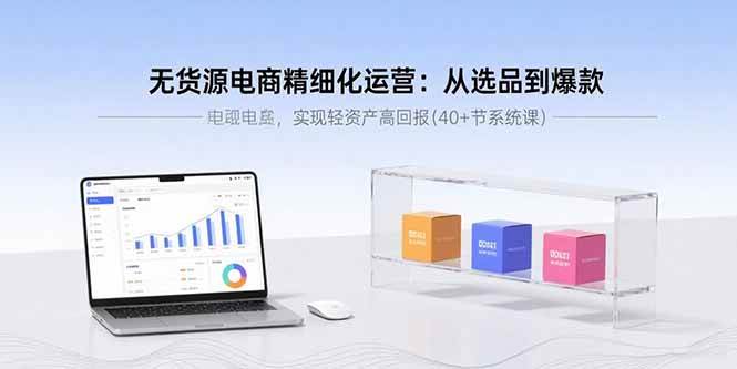 无货源电商精细化运营：从选品到爆款，实现轻资产高回报(40+节系统课)