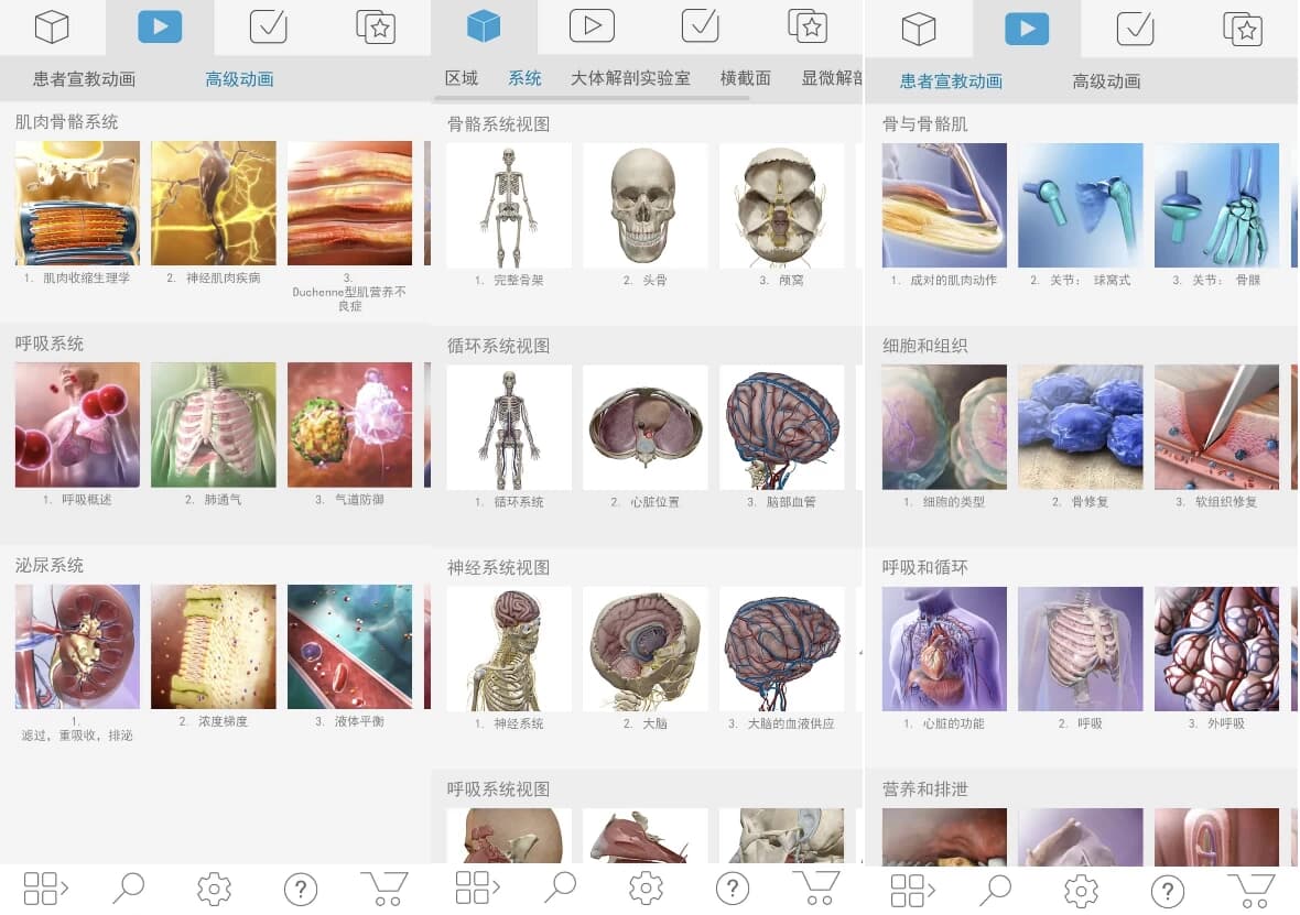Atlas 人体解剖学图谱 v2026.00.019 高级版