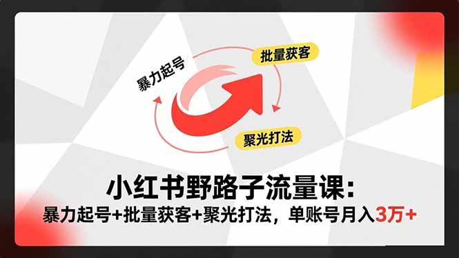 小红书野路子流量课：暴力起号+批量获客+聚光打法，单账号月入3万+