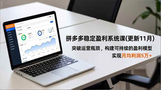 拼多多稳定盈利系统课(更新11月)，突破运营瓶颈，构建可持续的盈利模型，实现月均利润5万+