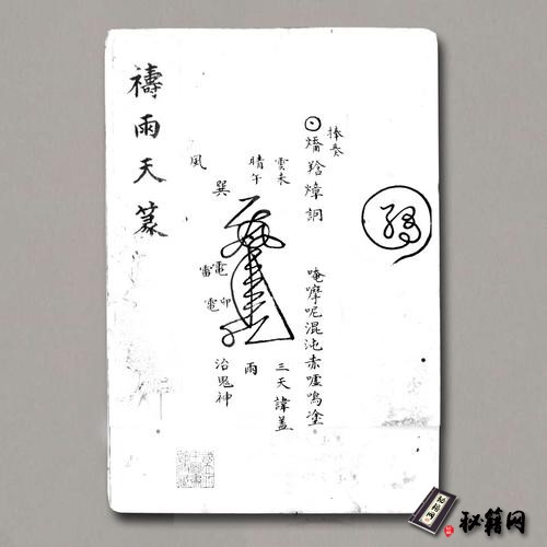 《禱雨天篆》