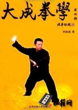 [武功秘籍]大成拳学 第4部（和振威主编）.pdf