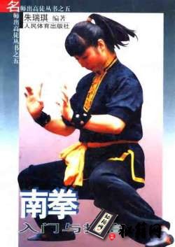 [武功秘籍]南拳入门与提高.pdf